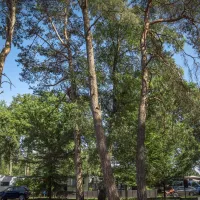 ferienpark-dulmener-see-dulmen-vvrrb