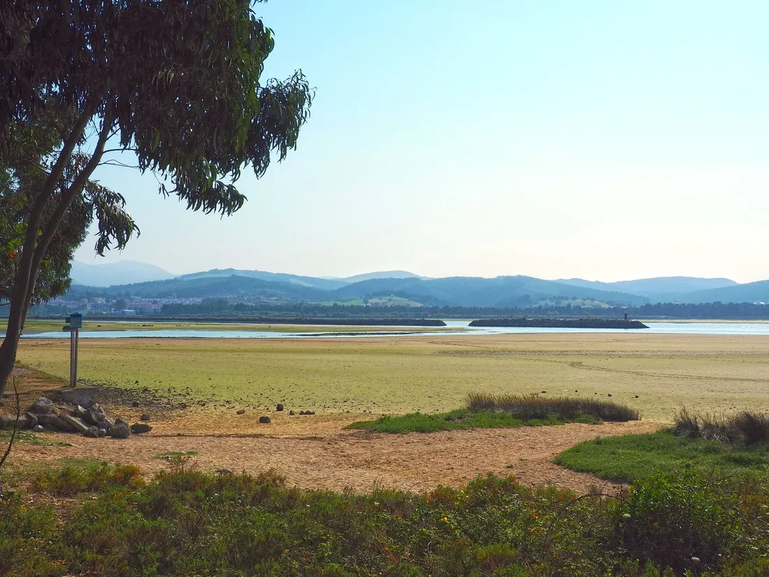 playa-del-regaton-laredo-olzdr