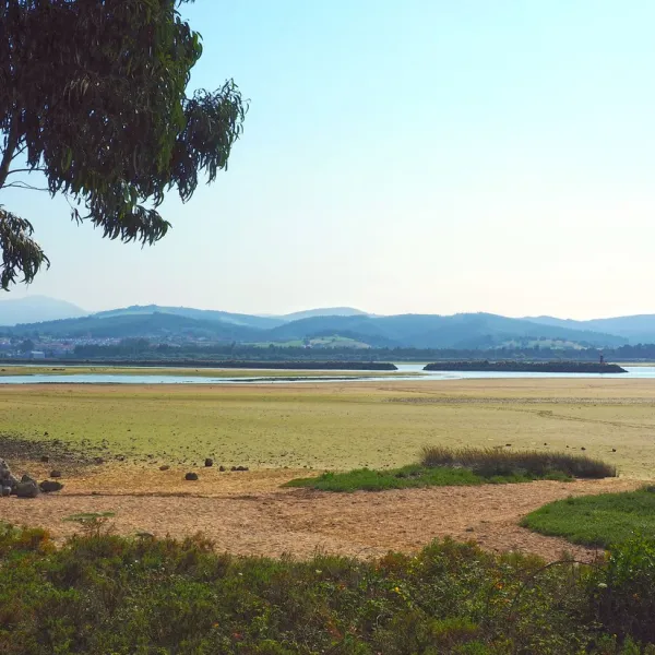 playa-del-regaton-laredo-olzdr