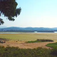 playa-del-regaton-laredo-olzdr