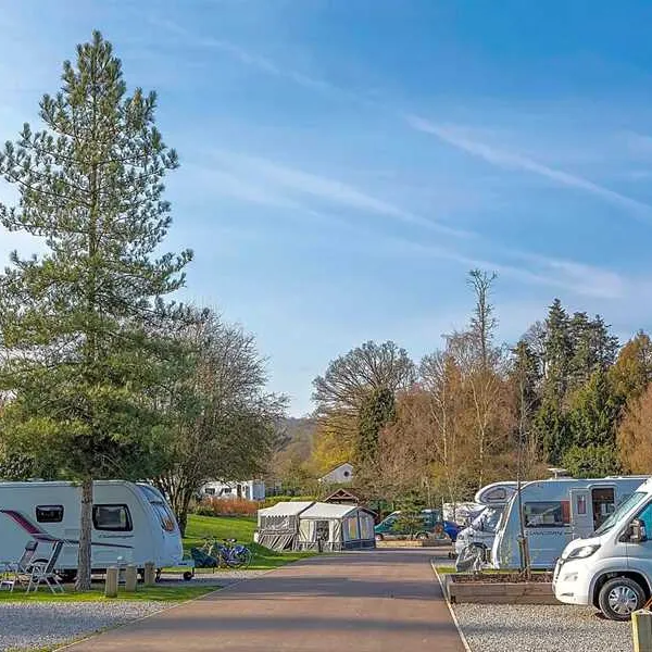 Whitemead Forest Park