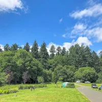 whitemead-forest-park-lydney-hwmdx