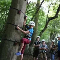 whitemead-forest-park-lydney-ljhgl