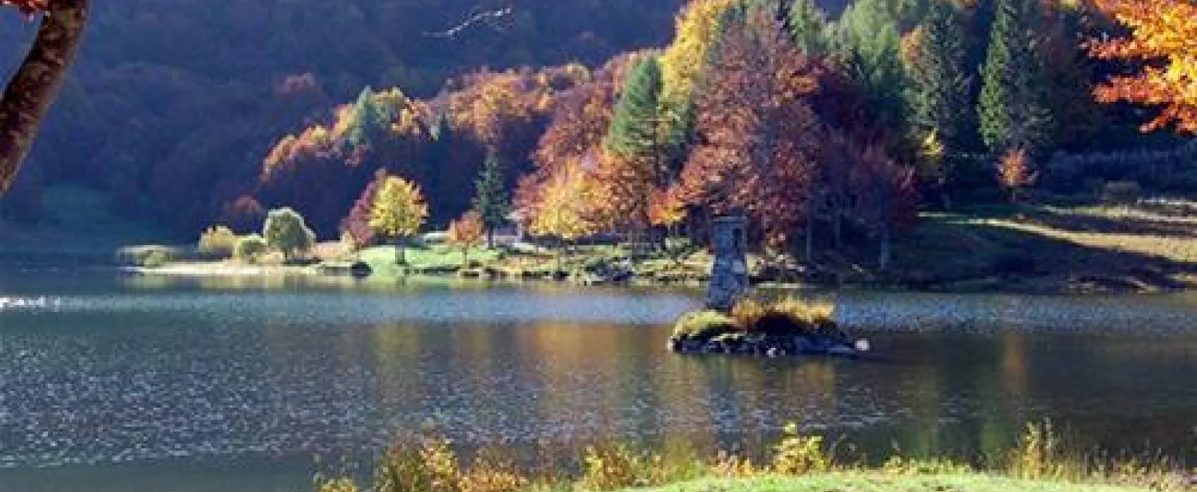 Le Fonti