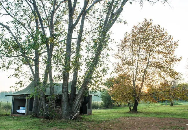 tanglewood-nature-estate-portion-42-boskop-dam-potchefstroom-8wyvk