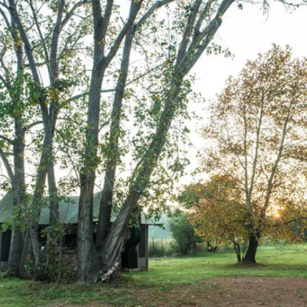 tanglewood-nature-estate-portion-42-boskop-dam-potchefstroom-8wyvk