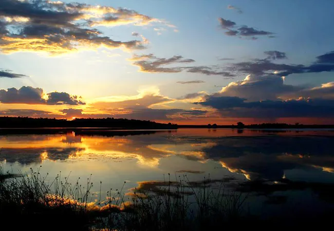tanglewood-nature-estate-portion-42-boskop-dam-potchefstroom-9afz1