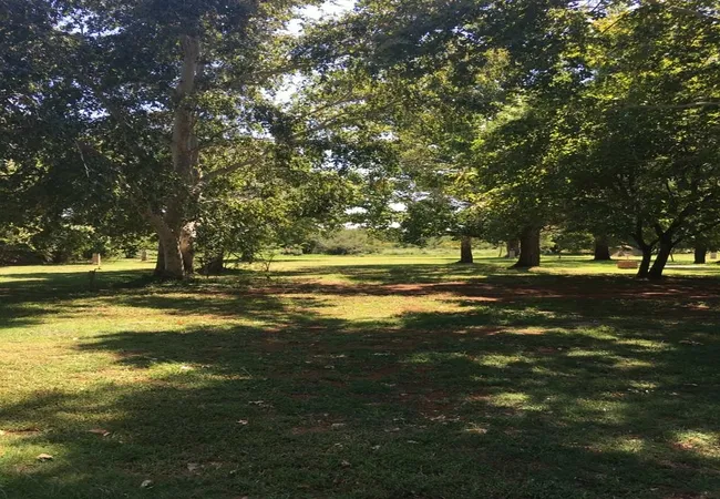 tanglewood-nature-estate-portion-42-boskop-dam-potchefstroom-ev6v2