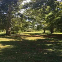 tanglewood-nature-estate-portion-42-boskop-dam-potchefstroom-ev6v2