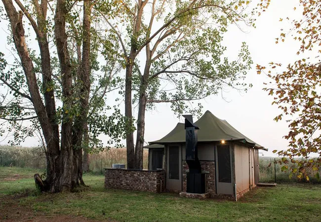 tanglewood-nature-estate-portion-42-boskop-dam-potchefstroom-jpng4
