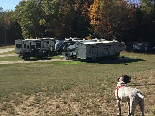 crows-nest-campground-newport-n6gma