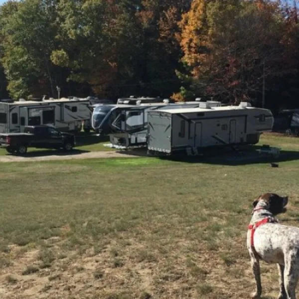 crows-nest-campground-newport-n6gma