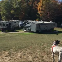 crows-nest-campground-newport-n6gma