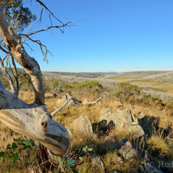 three-mile-dam-campground-kosciuszko-national-park-bpaec