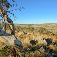 three-mile-dam-campground-kosciuszko-national-park-bpaec