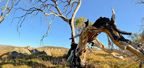 three-mile-dam-campground-kosciuszko-national-park-f9r1p
