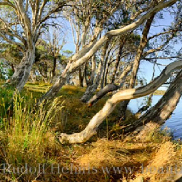 three-mile-dam-campground-kosciuszko-national-park-hzova