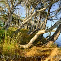 three-mile-dam-campground-kosciuszko-national-park-hzova