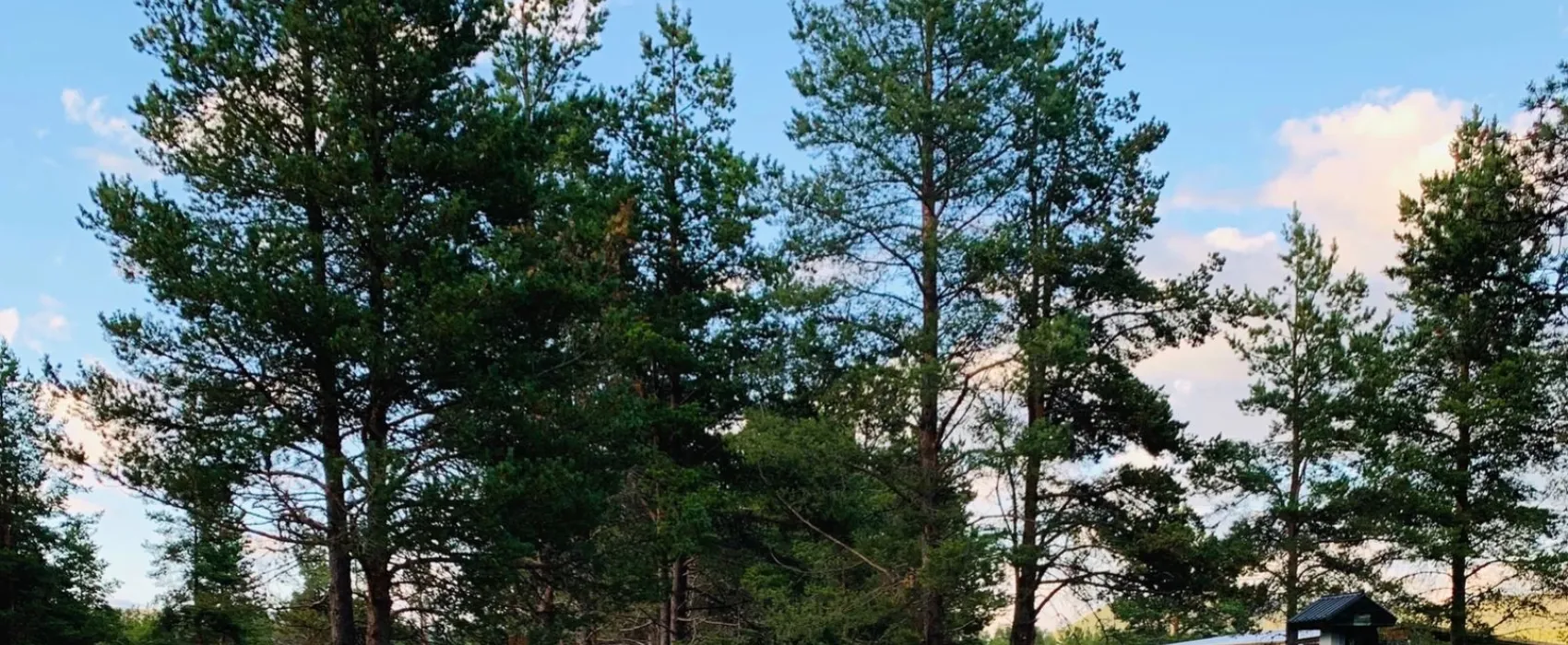 Brendryen Camping    