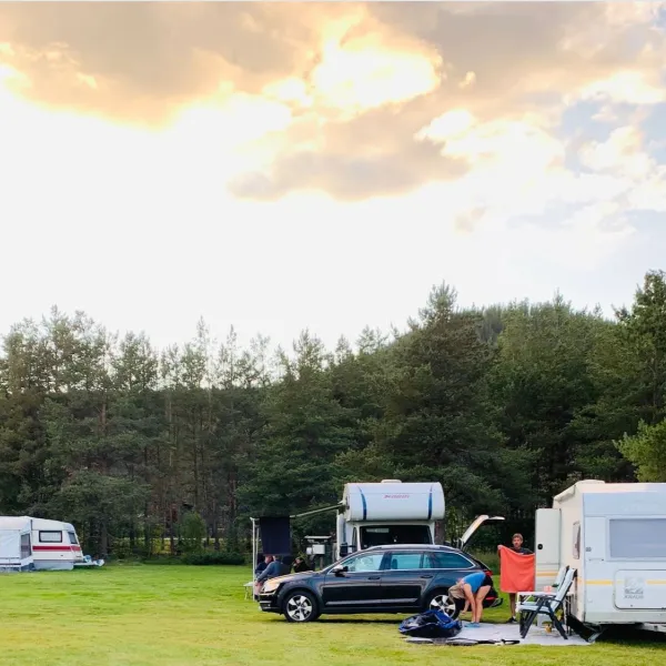 Brendryen Camping    