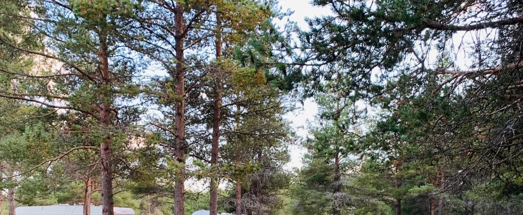 Brendryen Camping    