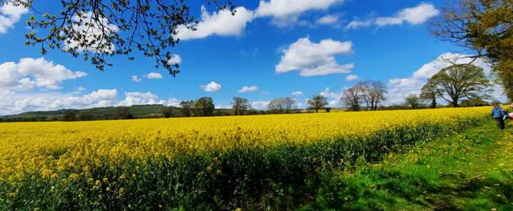 Totteridge Farm Camping Pods