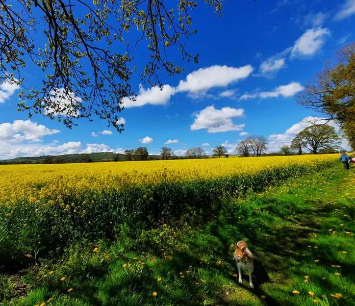 totteridge-farm-camping-pods-pewsey-jgtan