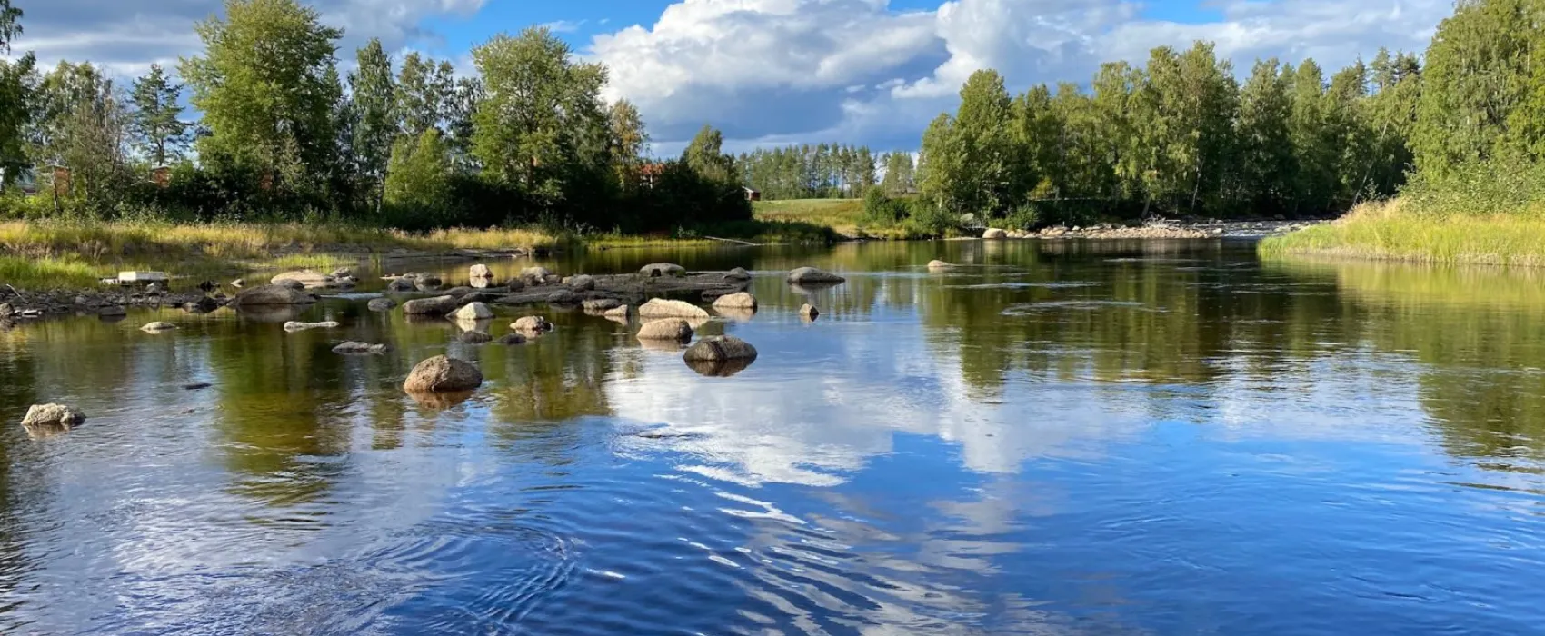 Åmsele Camping