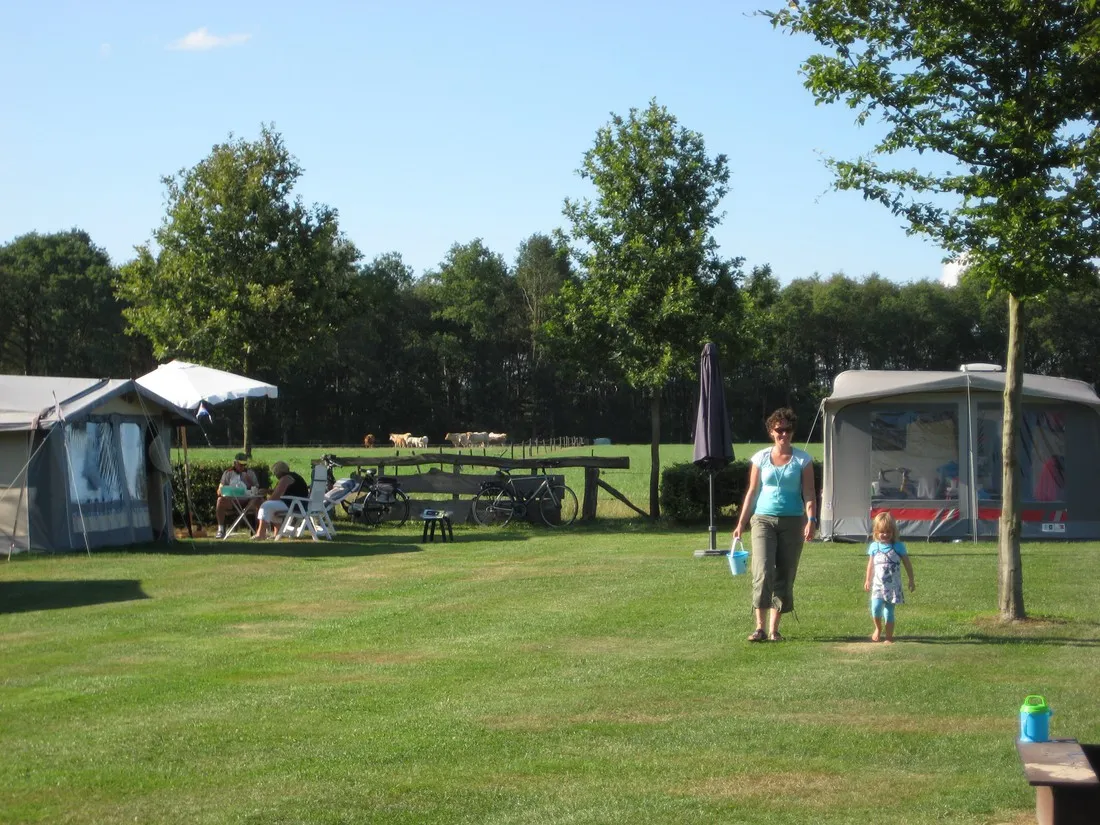 minicamping-erve-vleerbosch-haarle-1itcb
