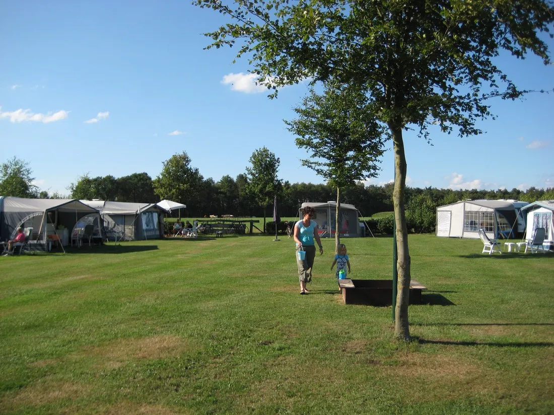 minicamping-erve-vleerbosch-haarle-ciino