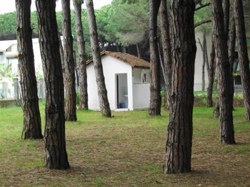 camping-mali-i-robit-durres-h4ou8