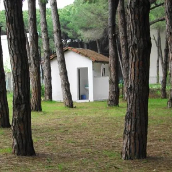 camping-mali-i-robit-durres-h4ou8