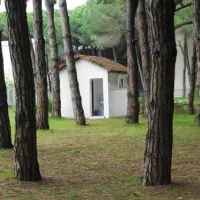 camping-mali-i-robit-durres-h4ou8