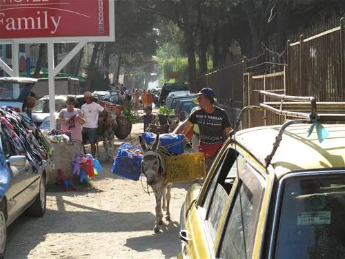 camping-mali-i-robit-durres-p6yfh
