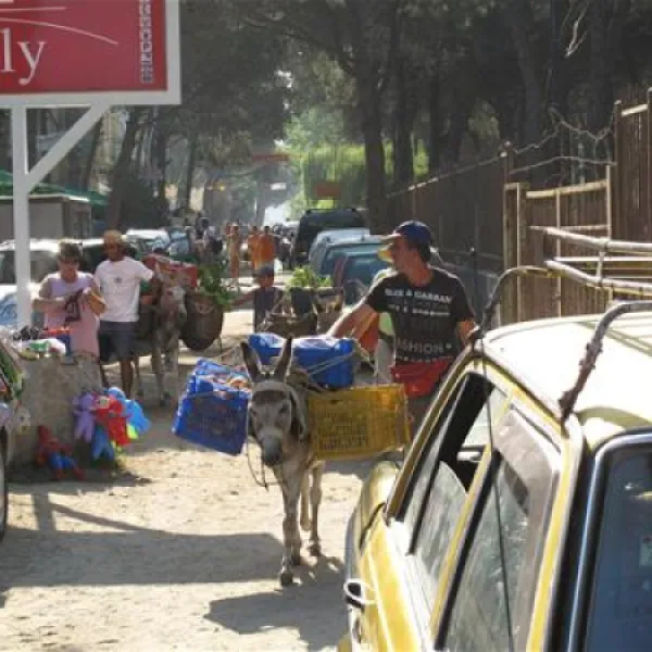 camping-mali-i-robit-durres-p6yfh