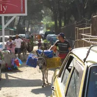 camping-mali-i-robit-durres-p6yfh