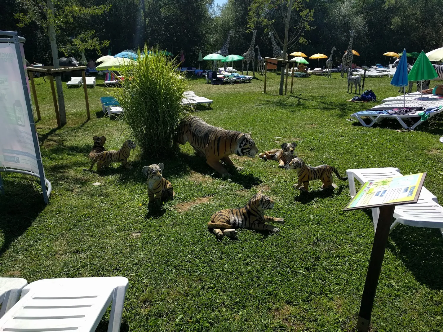camping-terme-olimianatura-podcetrtek-beax2