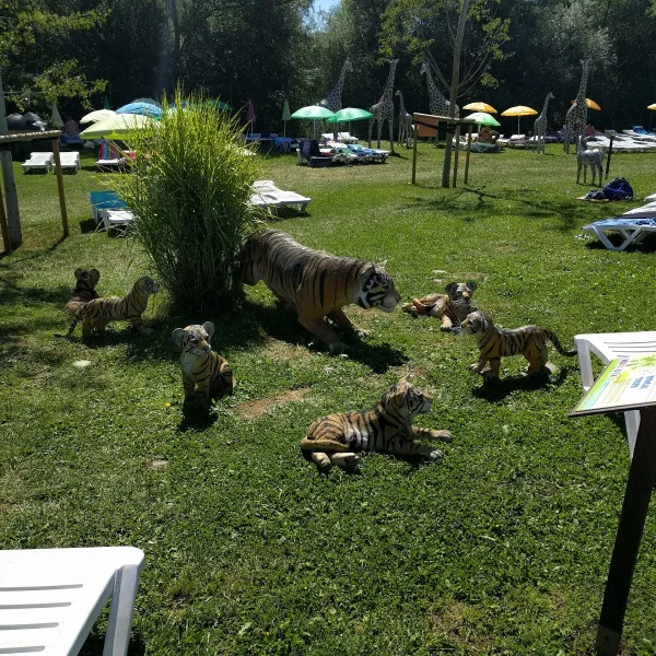 Camping Terme Olimia/Natura