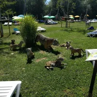 Camping Terme Olimia/Natura