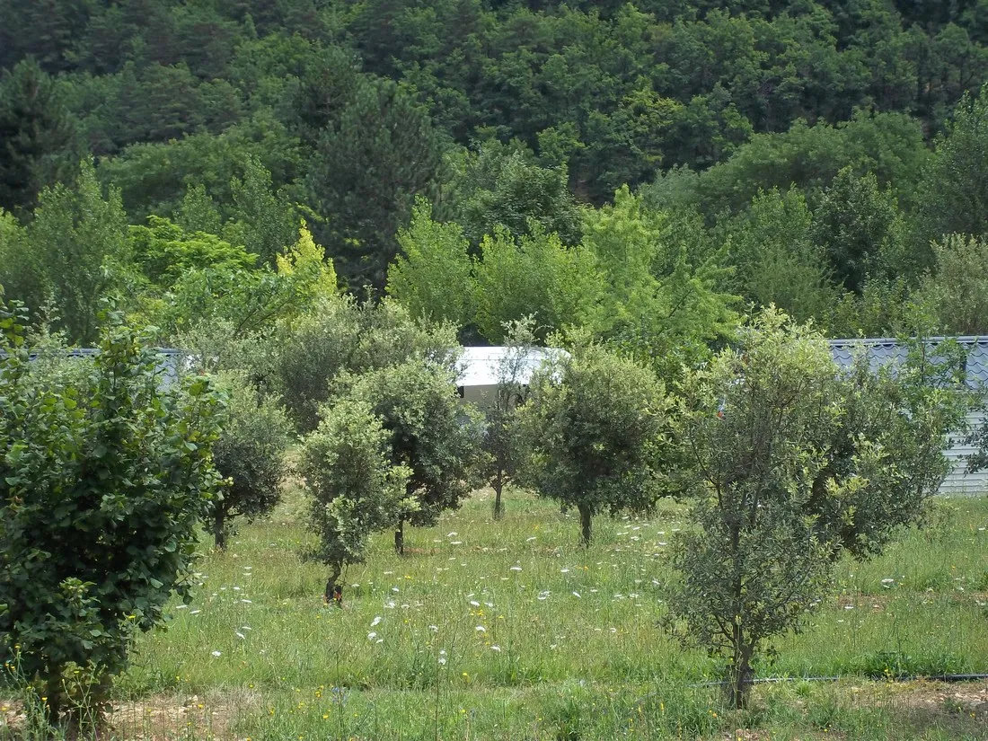 camping-le-roc-qui-parle-nant-12buz