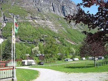 furu-laksvold-sunndalsora-6peei