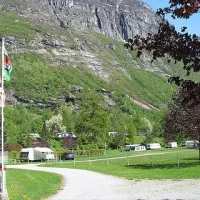 furu-laksvold-sunndalsora-6peei