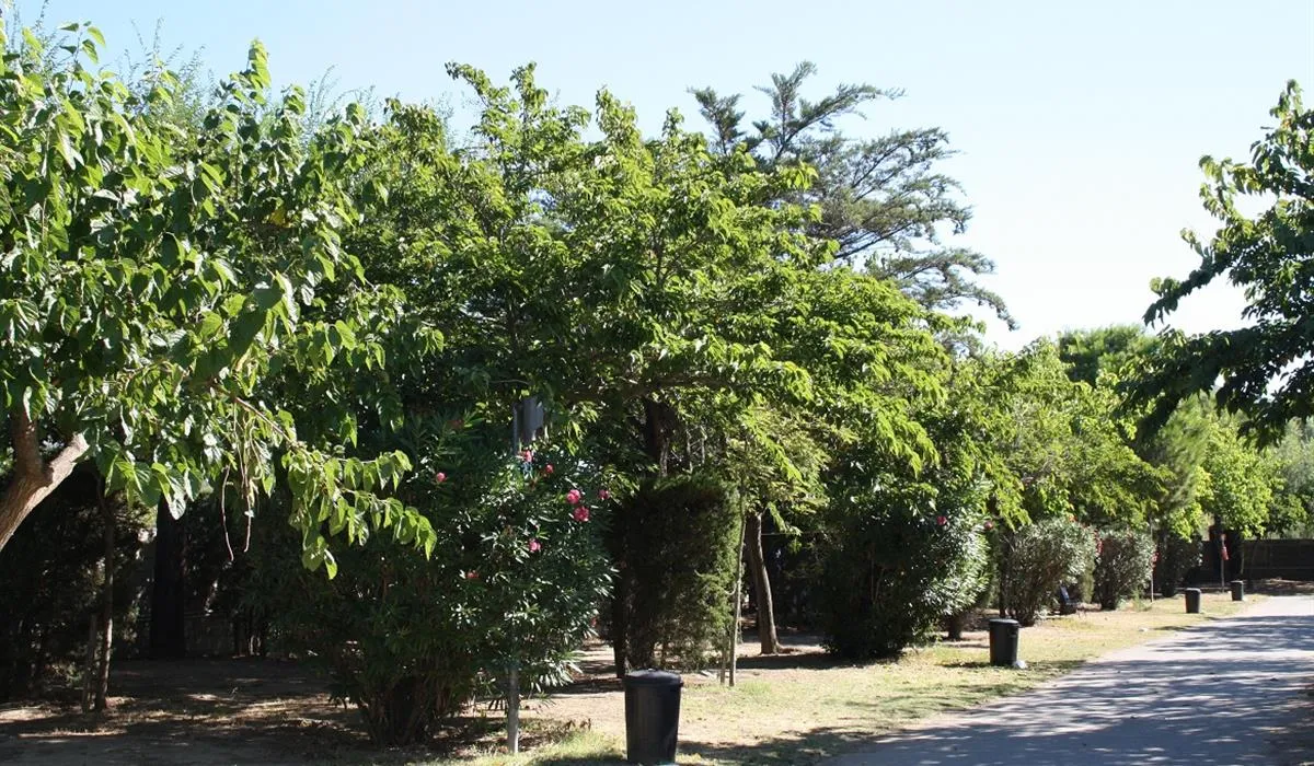 camping-rodas-roses-ynqc9
