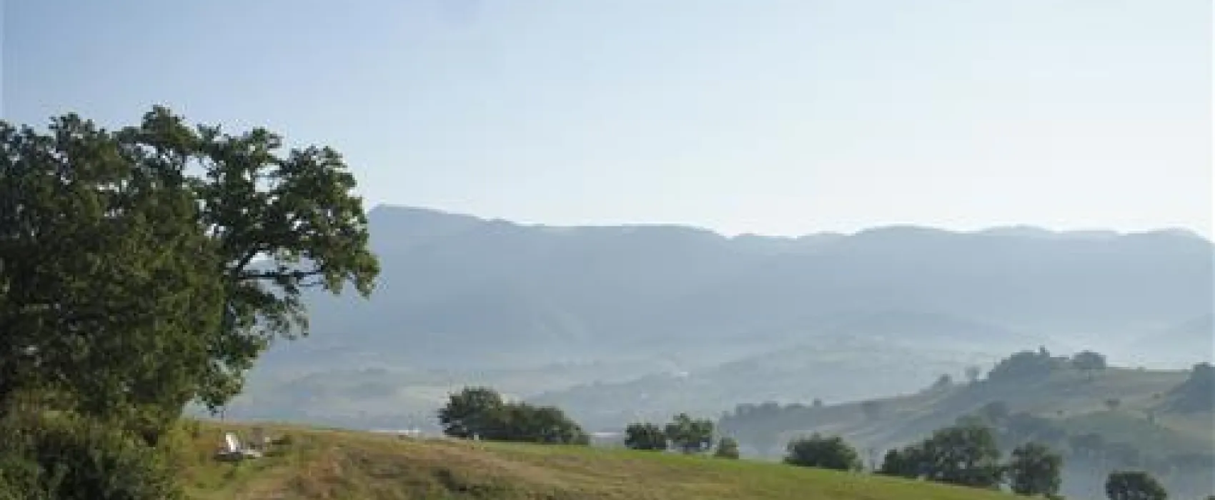 Michel Boes