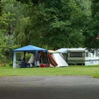 campingplatz-horn-bodensee-gaienhofen-cilaw