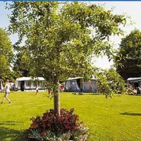campingplatz-horn-bodensee-gaienhofen-o6cly