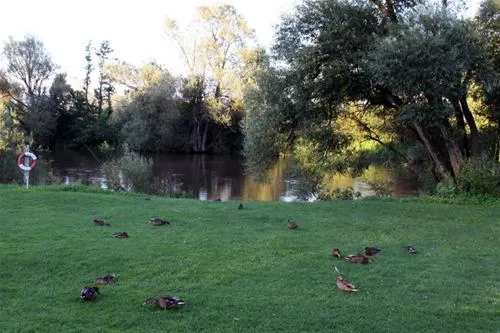 maincampingplatz-lichtenfels-lichtenfels-qmlvi
