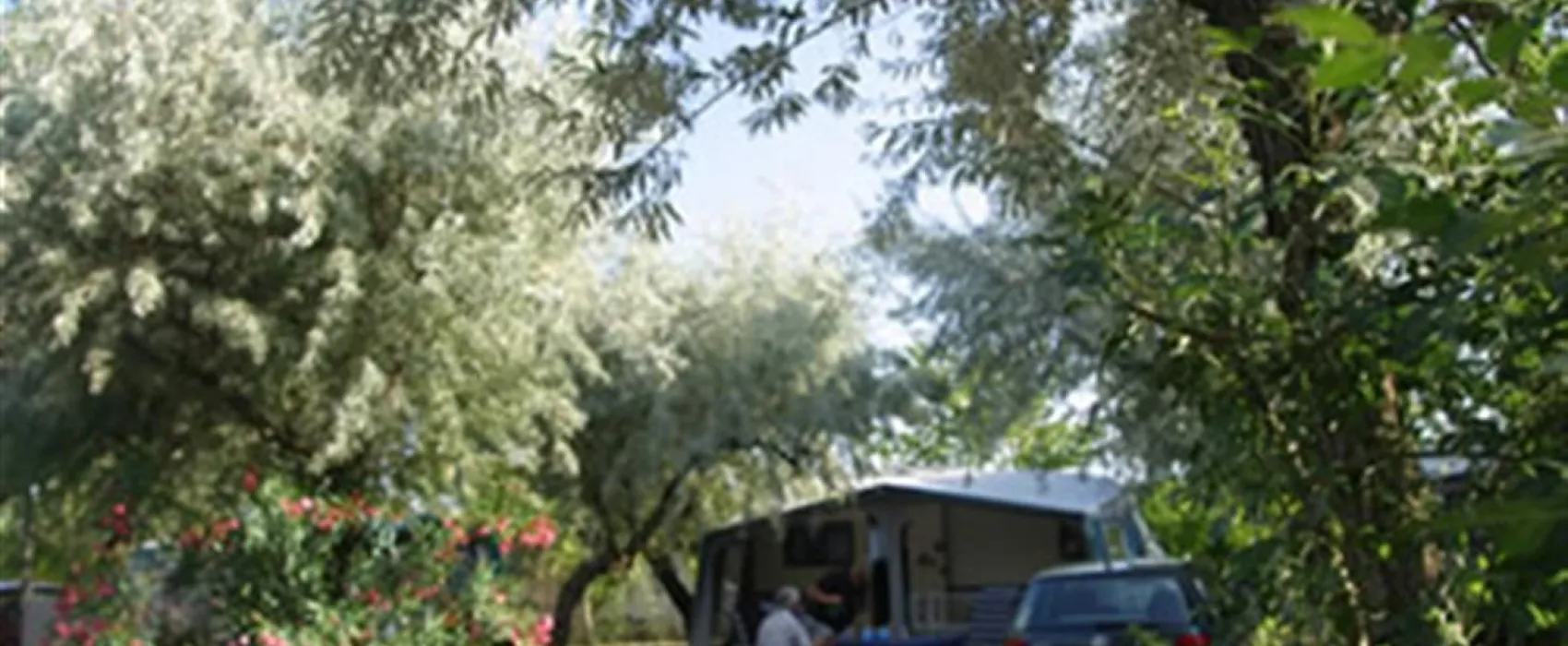 Camping Le Paradis  