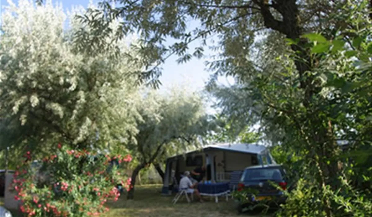 camping-le-paradis-serignan-ic7f1