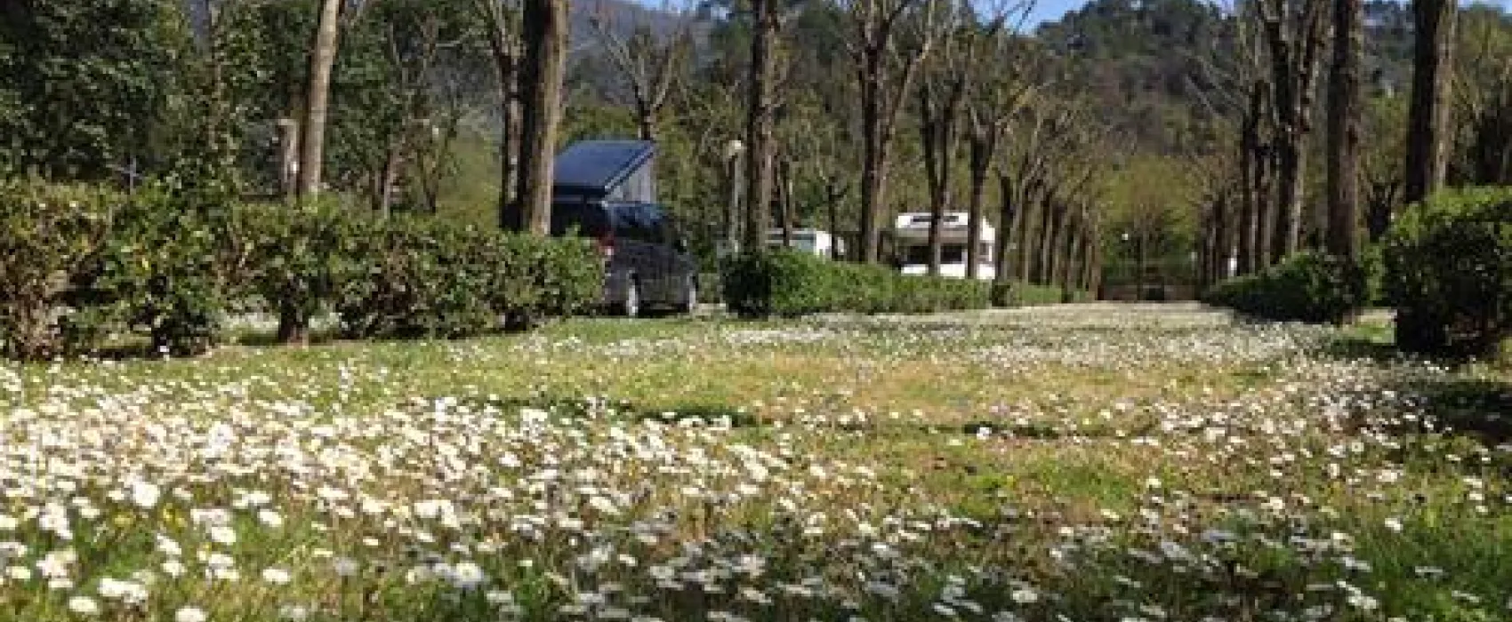 Campeggio Pian di Picche